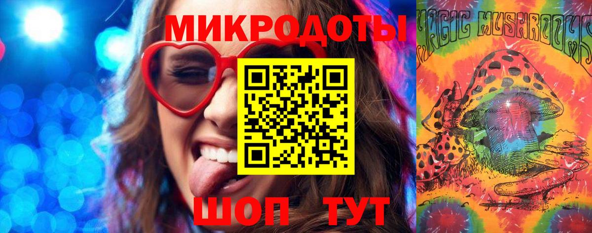 Галлюциногенные грибы Psilocybe Свободный