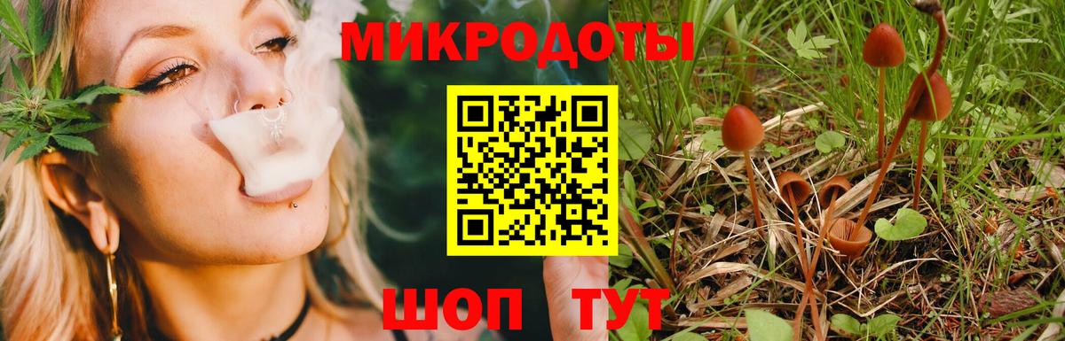 Псилоцибиновые грибы Psilocybine cubensis  Псилоцибиновые грибы мицелий  магазин продажи наркотиков  Свободный  Вход с VPN 